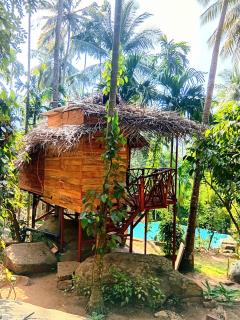 Wooden Eco Cottage - - 6