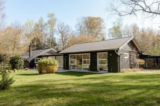 Light And Wild Woods For The Entire Family - 9