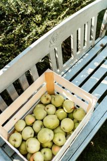 Rosemary House Is A Peaceful Family Getaway - Rødvig - 1