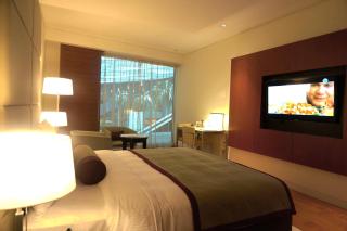 Oryx Airport Hotel -Transit Only - Doha - 1