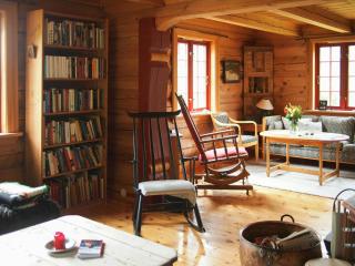 Cabin With Wooden Interior By Lake Tinnsjøen - 8