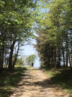 Charming Summerhouse In Korshages Wild Nature - Rørvig - 2