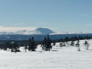 Mountain Cabin With Great Views - Austbygdi - 5