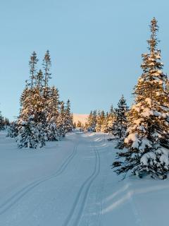 Mountain Cabin With Great Views - Austbygdi - 4