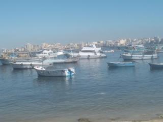 Affordable downtown studio Free WiFi steps to sea - Alexandria - 3
