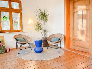 Spacious Country House With Idyllic Orchard - 4