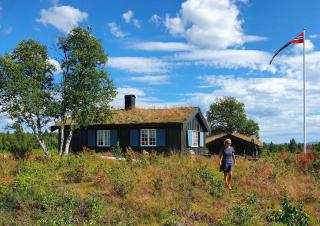 Mountain Cabin With Wood-Fired Sauna And A View - Ulnes - 0