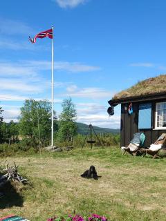 Mountain Cabin With Wood-Fired Sauna And A View - Ulnes - 2