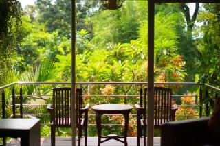 Bukit Daun Hotel & Resort - - 8