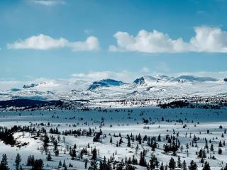 Charming Summer Farm Hut At Sjusjøen - 7