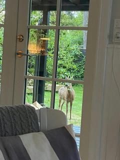 Charming Cottage Close To Tisvilde Beach - 1