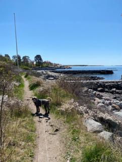 Cosy Guest House By The Coastal Path In Larkollen - Larkollen - 5