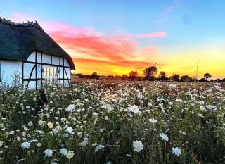 Rustic Bliss Near Forest And Fields - Nyborg - 3