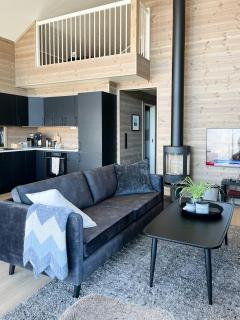 Modern Cabin Gem In Åpta - 1