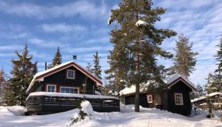 Enjoy Traditional, Norwegian Cabin Coziness -  - 0