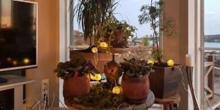 Seaside Dream Cabin With Jacuzzi - 4