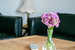 Fredfyldt Sommerhus Ved Limfjorden - 1