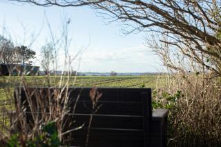 Play And Nature Experiences In Tuse Næs - Holbæk - 1