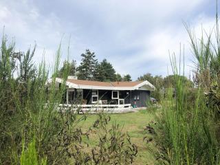 Summer Vibe Near Fynshoved And The Great Belt - 5
