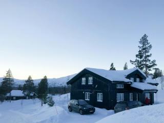 Designer Cabin With Panoramic Views In Hovden - Bykle - 0