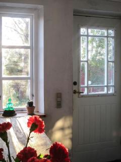 Experience The Sea And Starling Murmuration - 8