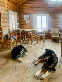 Traditional Mountain Cabin Near Hallingskarvet - Torpo - 5