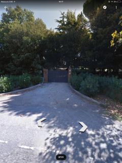 Campo al Cerro - Bolgheri - 9