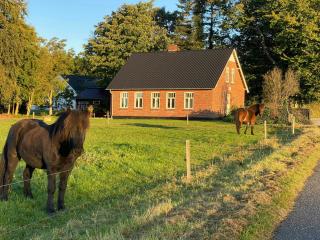 Historic Cottage By The Lake In South Jutland - Branderup - 7