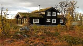 Mountain Cabin With Ski Trails At Sangefjell - Ål - 6