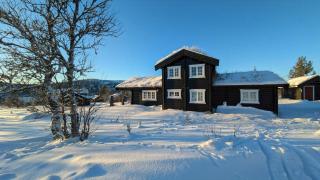Mountain Cabin With Ski Trails At Sangefjell - Ål - 0