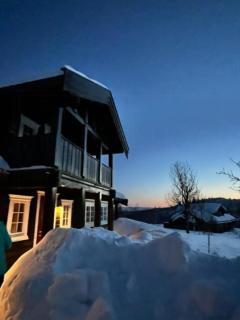 Mountain Cabin With Ski Trails At Sangefjell - Ål - 3