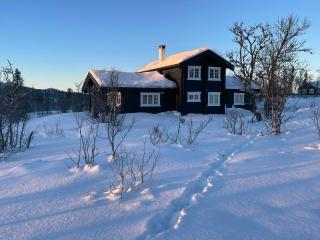 Mountain Cabin With Ski Trails At Sangefjell - Ål - 2