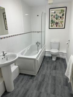 Principality, WMC, Utilita Arena - Cardiff - 3