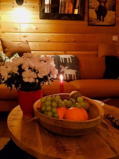 Charming Small Cabin At The Top Of Blefjell - Flesberg - 4