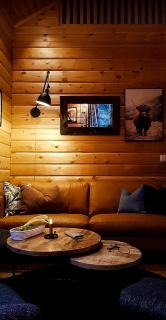 Charming Small Cabin At The Top Of Blefjell - Flesberg - 1