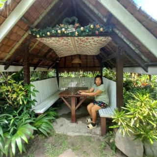 Villa Evergreen Restaurant and Rooms - 7