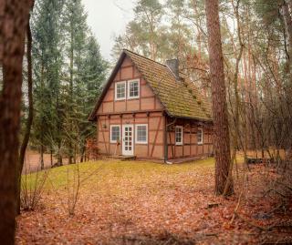Half-Timbered House In The Middle Of The Forest - Kirchlinteln - 0