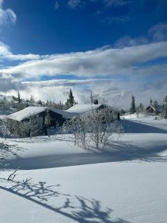 Stylish Mountain Cabin In Hallingdalen - 7