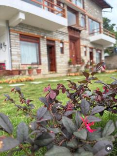 Panchwati Farms Homestay - 9