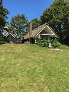 Retro Idyll And Bird Sounds In Quiet Oasis - 0