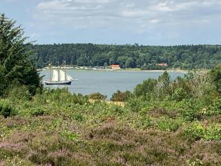 Nature-Rich Oasis With Views Over The Limfjord - Roslev - 2