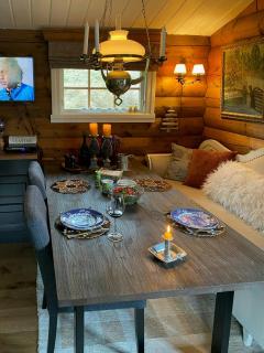 Cabin In Rauland Near Fishing, Hiking And Skiing - 2