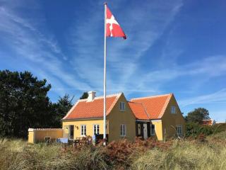 Fishing House In Old Skagen With Artistic Charm - Skagen - 0