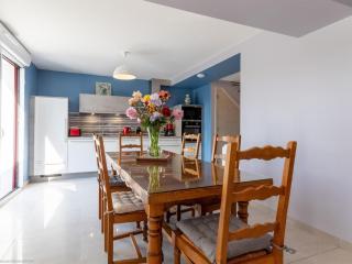 Maison rénovée au bord de la Saône avec terrasse et jardin - FR-1-583-463 - 7