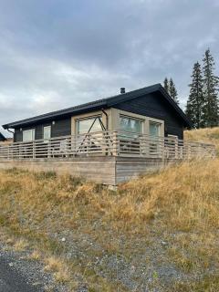 Modern Family Cabin At Sjusjøen - 7
