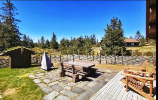 Mountain Cabin With Views In Sjusjøen - Sjusjøen - 1