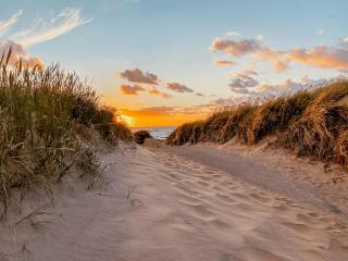 Seaside Family Retreat - Mellbystrand - 0