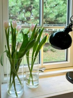 Family Holiday Home Near Denmark's Best Beach - 4