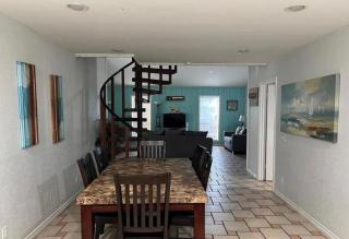 Netos Nest - 7