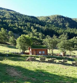 Travel Back In Time In This Charming Log Cabin - Forsand - 3